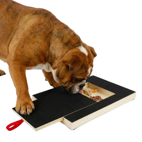 SafeScratch Best 8 Treats To Use Ebook